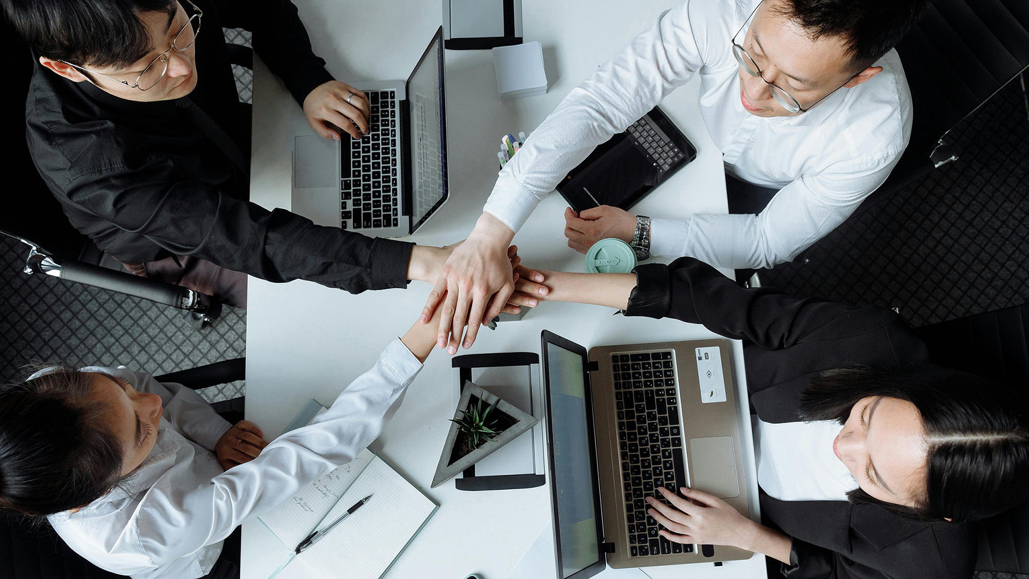 Workshop & Training Rollout